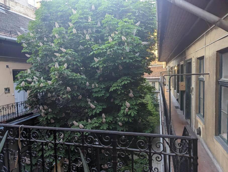 Gallery Flat In Party District Budapest Exterior foto